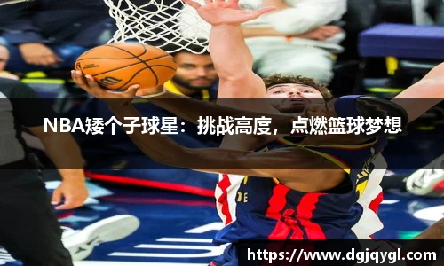 NBA矮个子球星：挑战高度，点燃篮球梦想